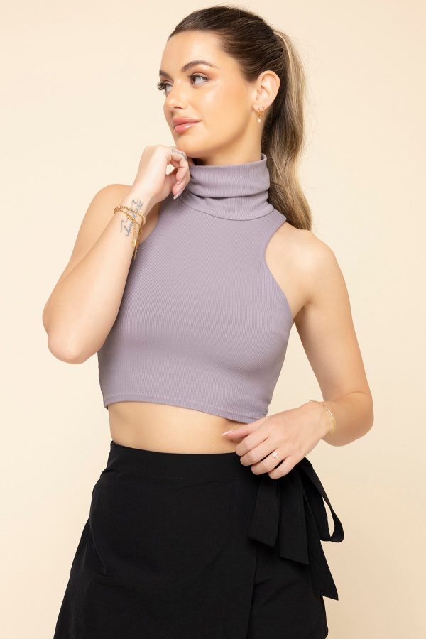 IFeelCuteCropTop-DustyMauve-2023_68079.jpg I Feel Cute Crop Top - Dusty Mauve